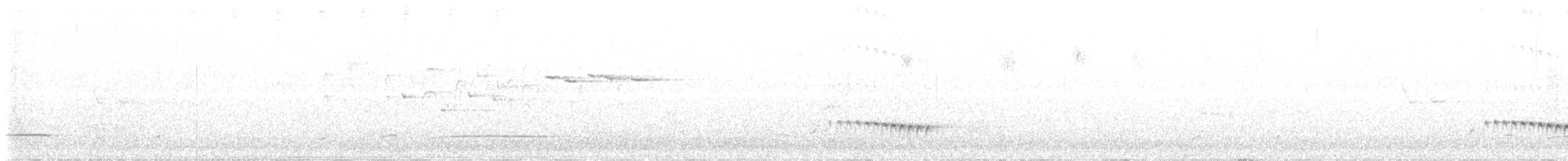 Cuco Flabeliforme - ML646756322