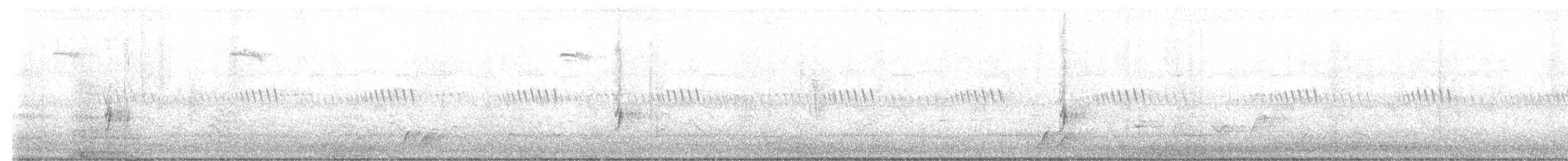 Fork-tailed Drongo - ML646756376