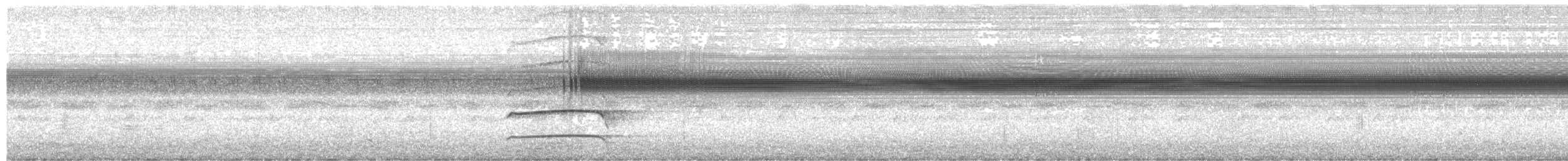 kalous proužkovaný - ML646756742