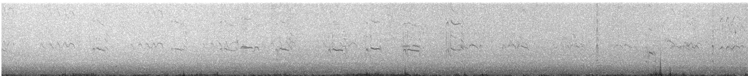 Least Tern - ML646757149