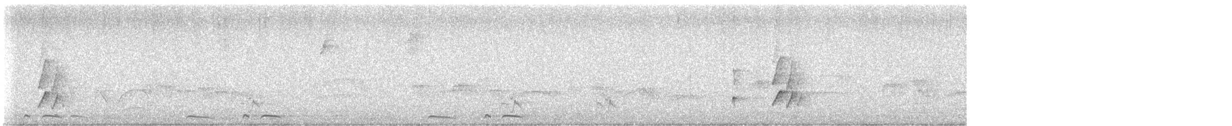 Stripe-necked Tody-Tyrant - ML646757277