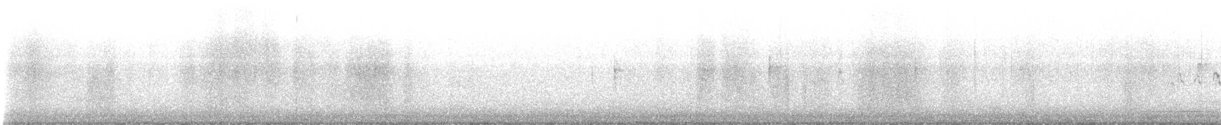 Royal Tern - ML646757509