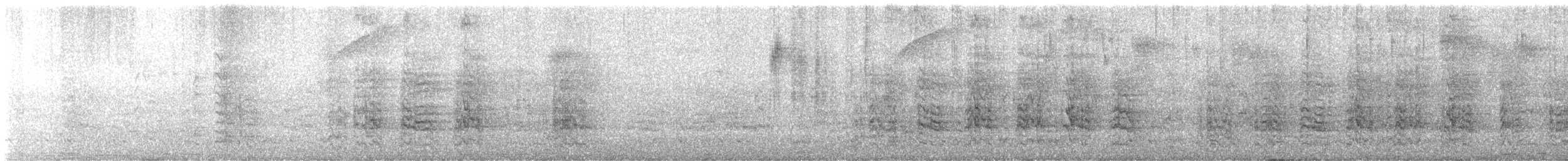 Mitred Parakeet - ML646757624