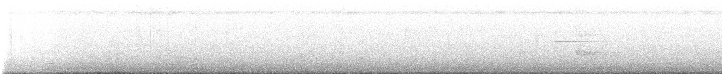 Great-tailed Grackle - ML646757657