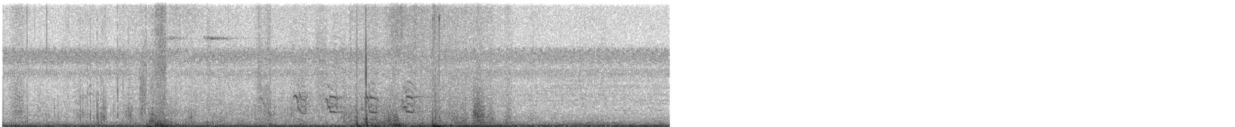 Tacchino selvatico - ML646757679