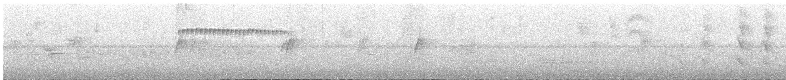 Grayish Piculet - ML646757909