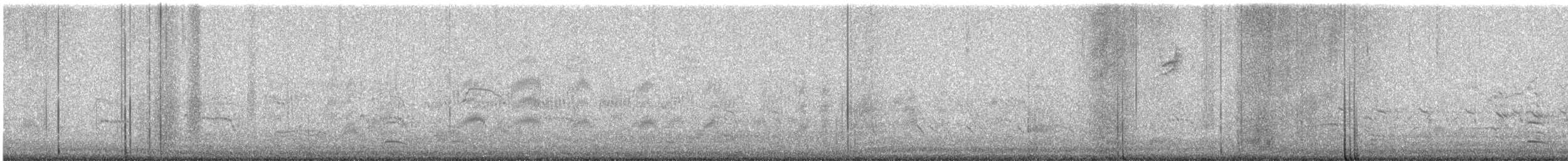 American Herring Gull - ML646757955