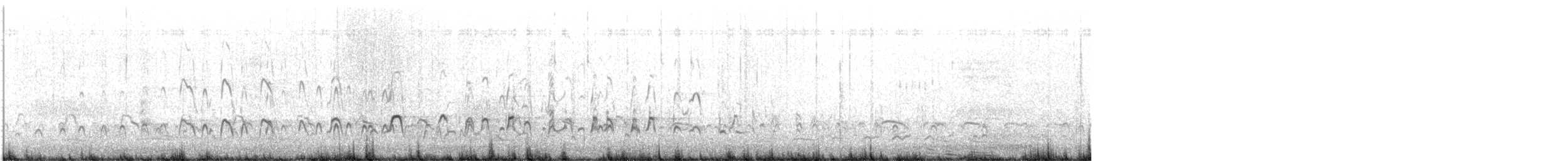 Beccaccia di mare - ML646757984