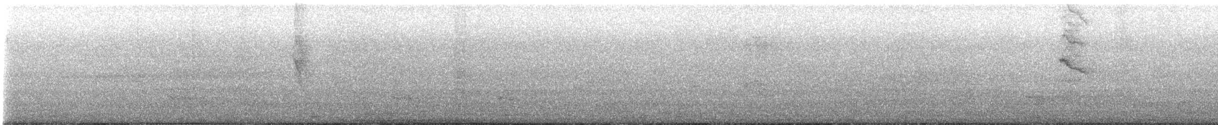 Blue-gray Tanager - ML646758010