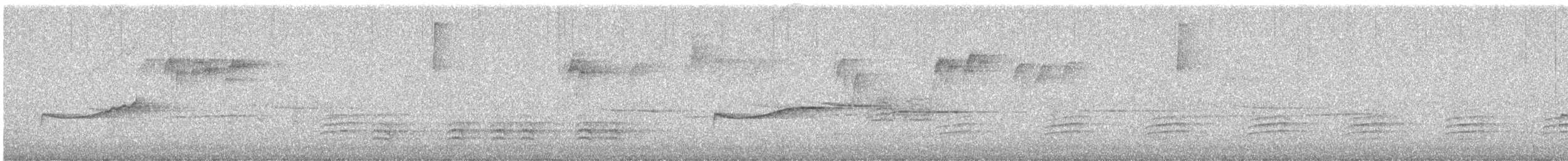 White-breasted Nuthatch - ML646758268