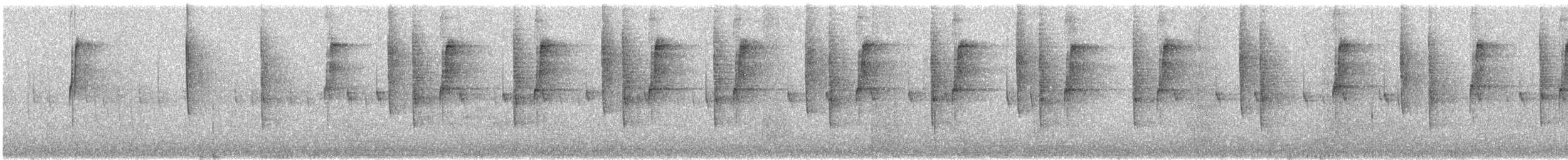 Mexican Violetear - ML646758450