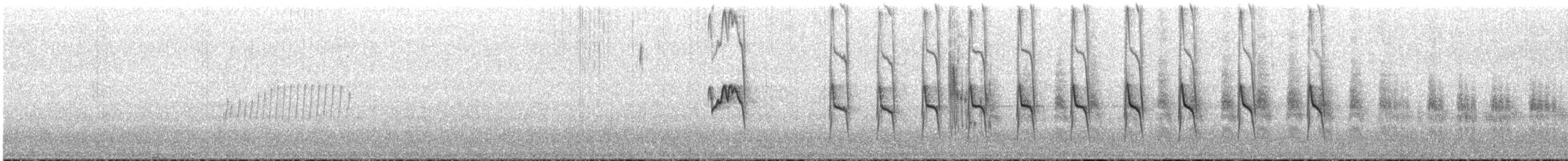 Brown-backed Chat-Tyrant - ML646758459