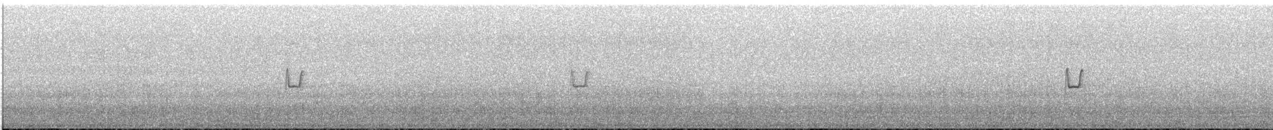 Brown-backed Chat-Tyrant - ML646758460