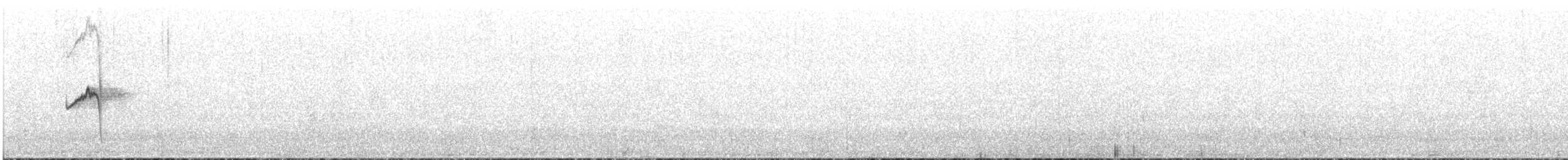 Pitajo Dorsipardo - ML646758464