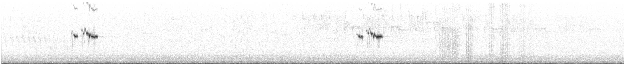 Paramopieper - ML646758589