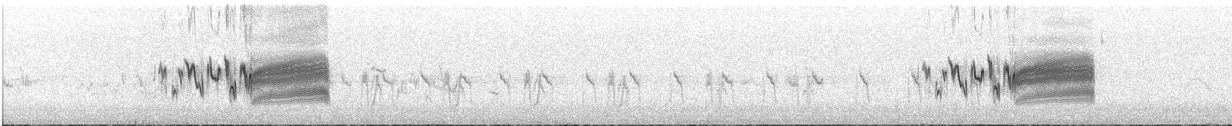 Paramo İncirkuşu - ML646758591