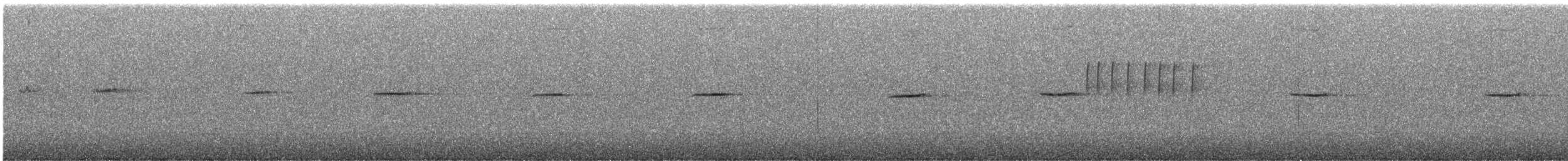 Kurşuni Kızılkuyruk - ML646758709