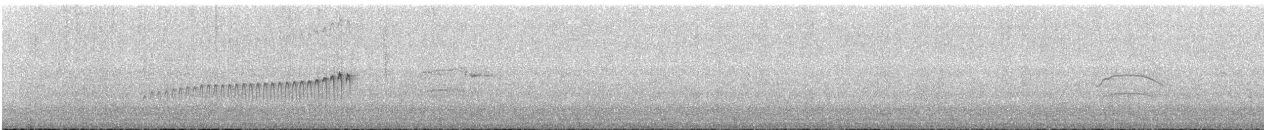 Ak Gerdanlı Sepetören - ML646758972