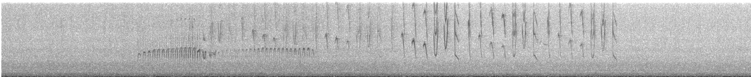 Tiryan Metalkuyruğu - ML646758978