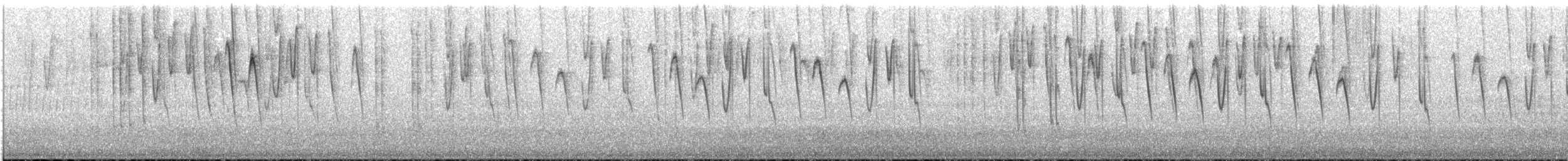 Tiryan Metalkuyruğu - ML646758979