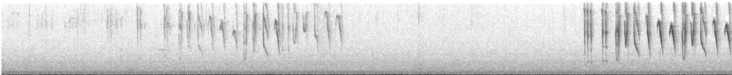 Tiryan Metalkuyruğu - ML646758980