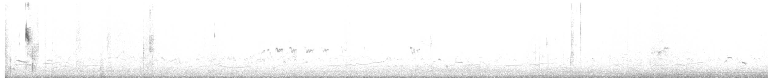 musespurv (rostratus/atratus) - ML646759048