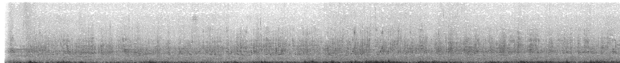 Eastern Rockhopper Penguin - ML646759122