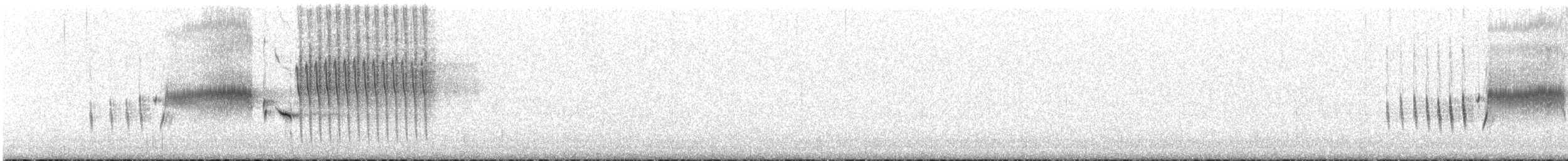 Grass Wren - ML646759134