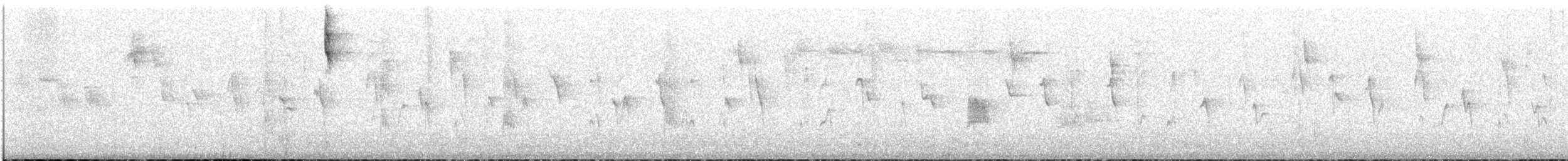 Candelita de Anteojos - ML646759173