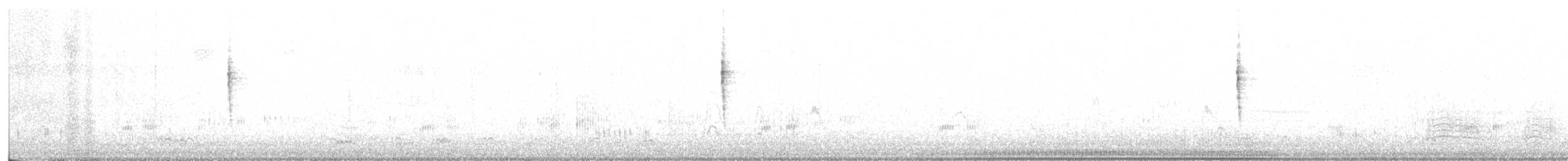 Palm Warbler - ML646759174