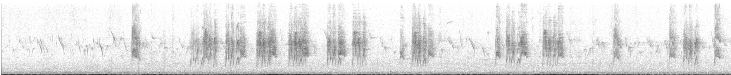 Pitajo Pechirrufo - ML646759189