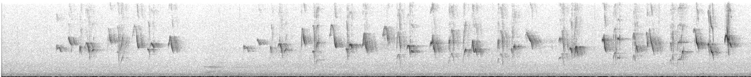 Pinchaflor Bigotudo - ML646759210