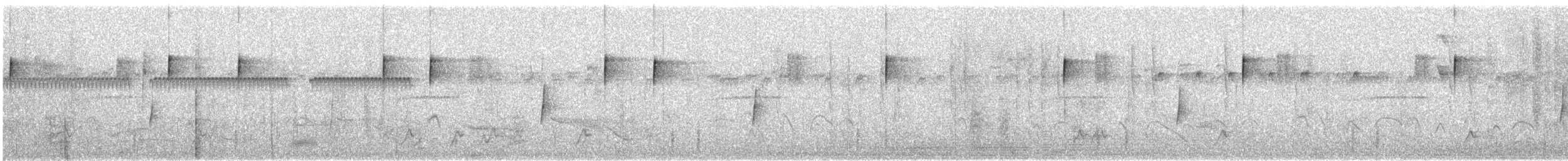 Northern Cardinal - ML646759336