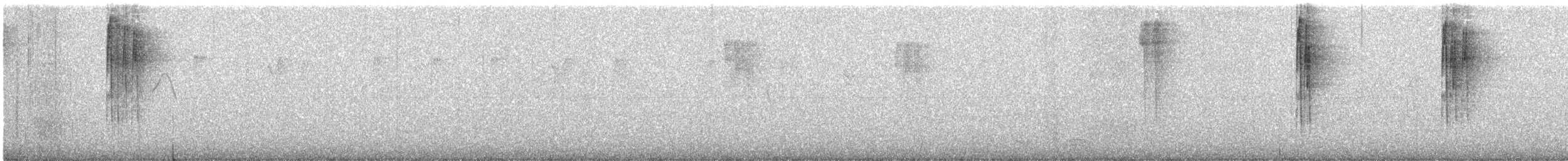 Garrapo eurasiarra (sinensis/formosana) - ML646759510