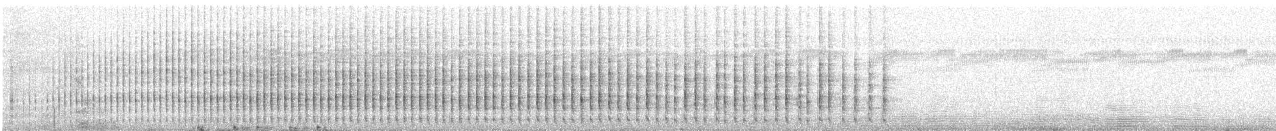 Cuco Ardilla Común - ML646759568