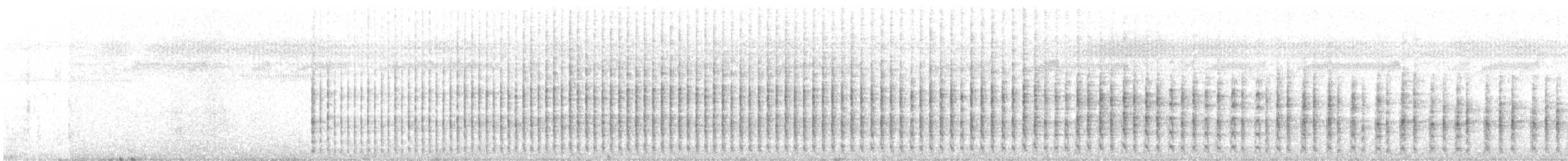 Cuco Ardilla Común - ML646759569