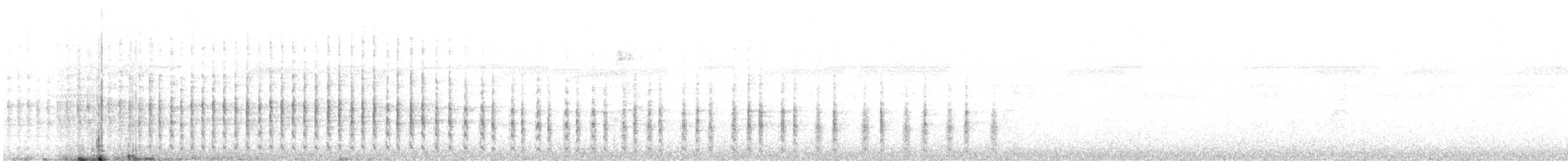 Cuco Ardilla Común - ML646759570