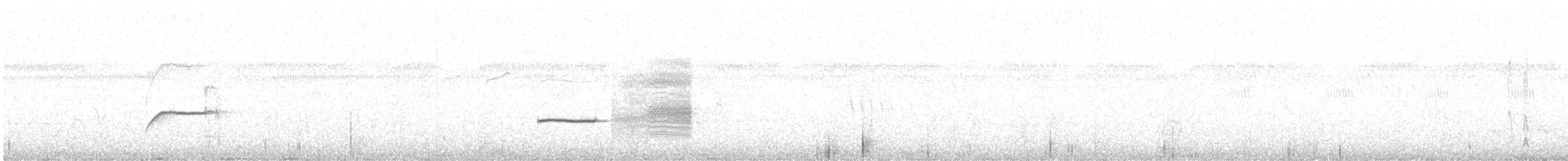 Loica Peruana - ML646759613