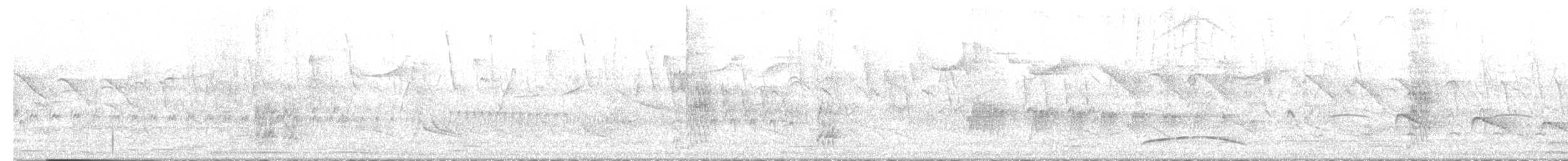 Swainson's Flycatcher - ML646759625