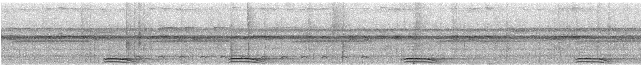 Collared Forest-Falcon - ML646759720