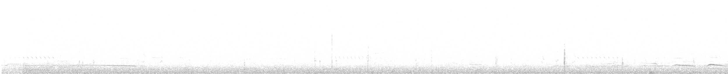 Tororoí Compadre - ML646759735