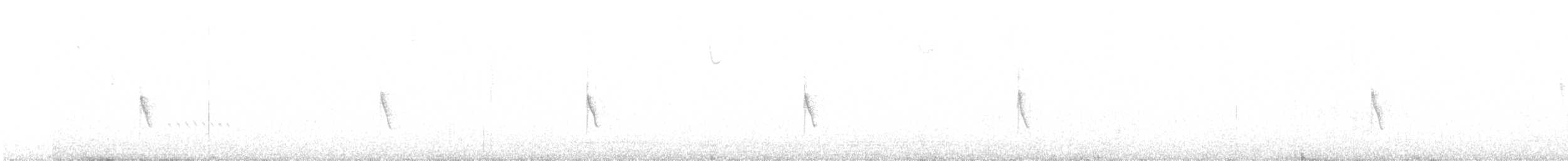 Animales - ML646759749