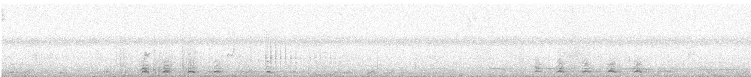 Colibrí Violeta - ML646759876