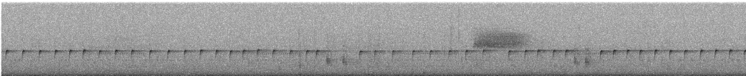 Taiwanblauschwanz - ML646759959