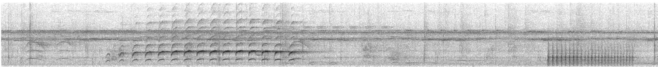 Linienspecht - ML646760054