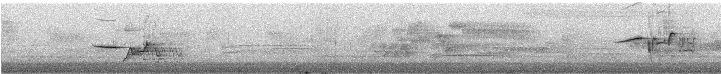 Einsiedler-Musendrossel - ML646760081