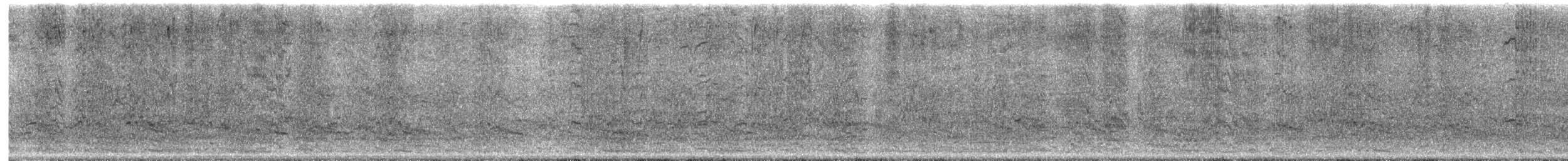 Red-crowned Amazon - ML646760189