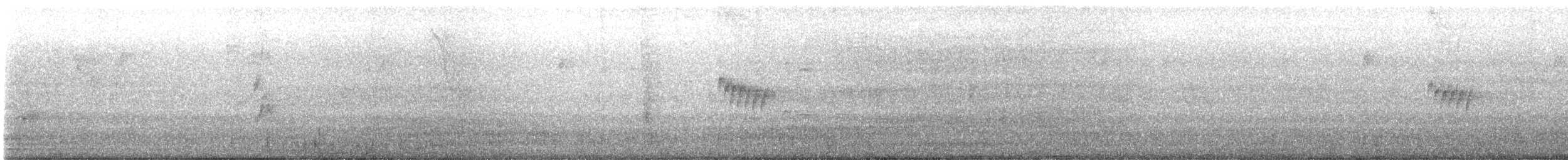 Graugelb-Todityrann - ML646760316