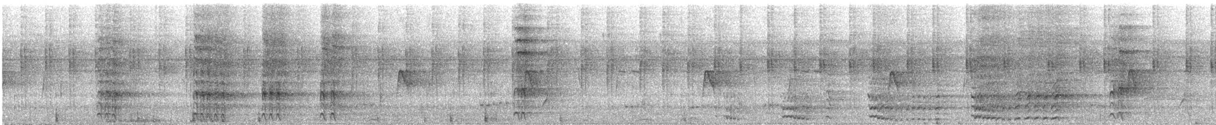 Königspecht - ML646760373