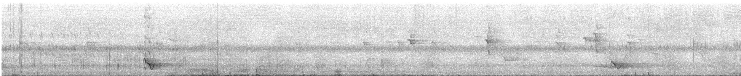 Glattstirn-Lederkopf - ML646760924